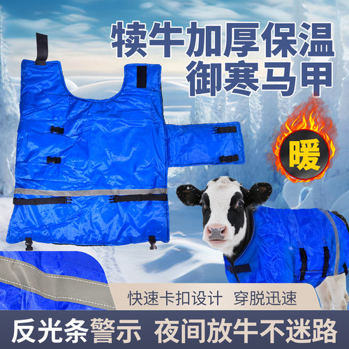 新生牛犊马甲小牛冬季保暖衣