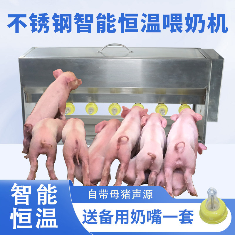 仔猪喂奶器奶妈机自动恒温