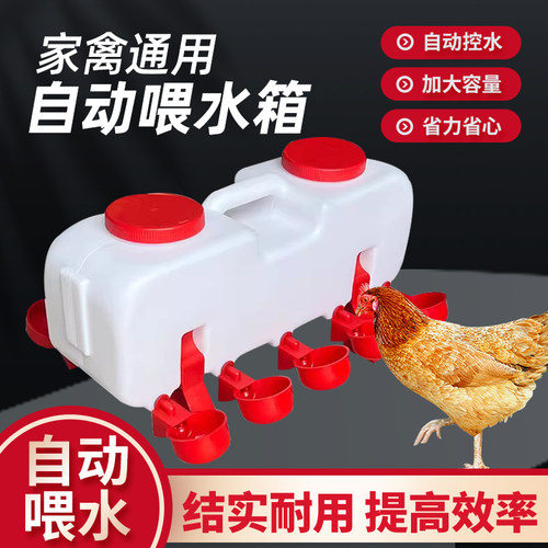 鸡水桶自动饮水碗家禽水壶鸡鸭鹅