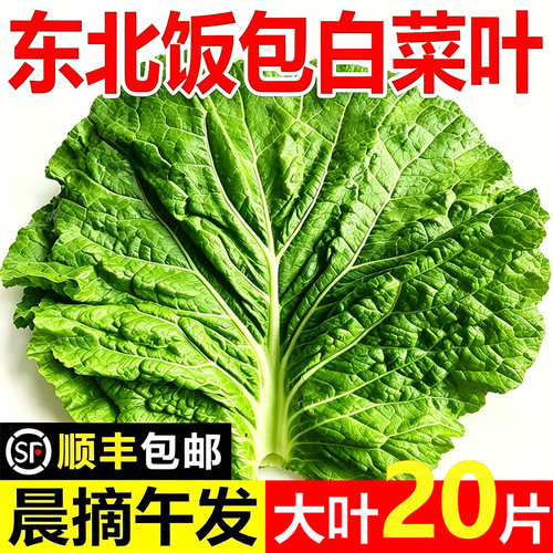 顺丰发东北农家大叶白菜叶蘸酱菜