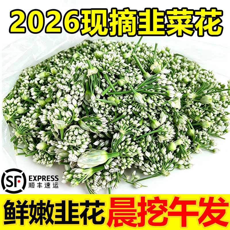 新鲜韭菜花顺丰速运次日达