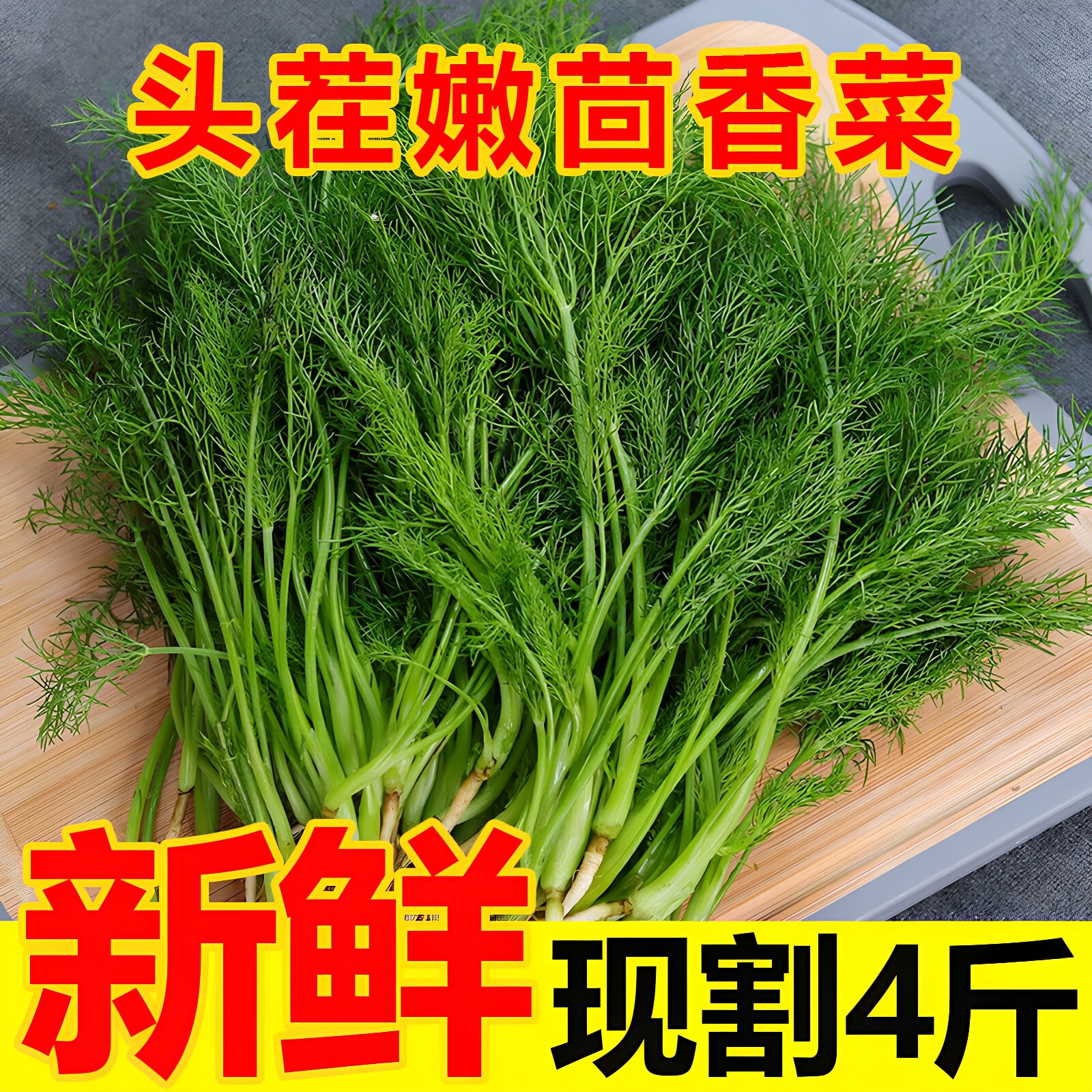 当季农家头茬鲜嫩茴香菜切根发货
