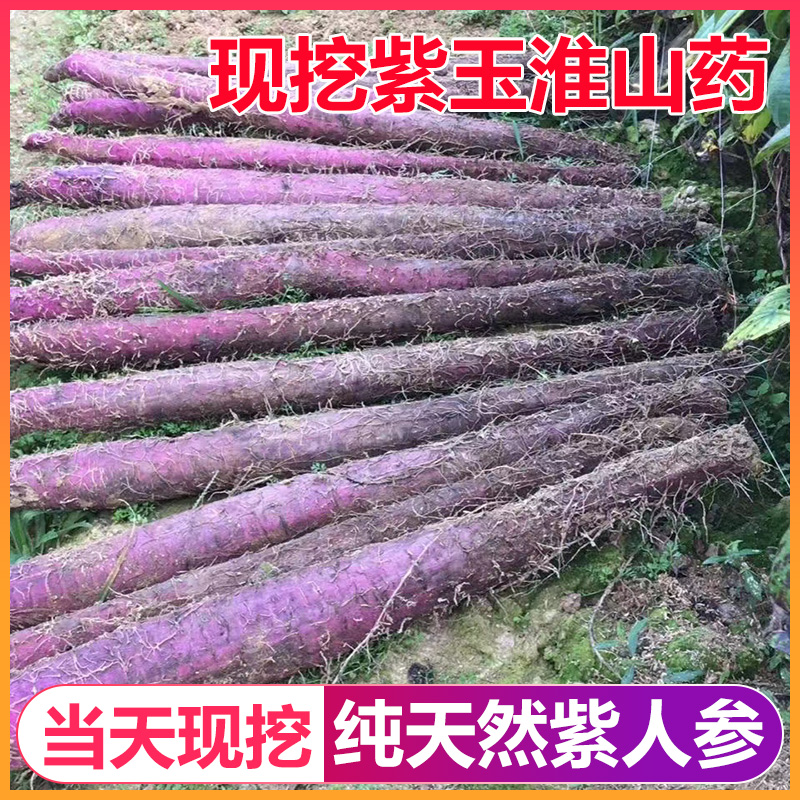新鲜紫玉淮山紫色山药紫大薯正宗紫山药苗农家种植5斤10铁杆包邮