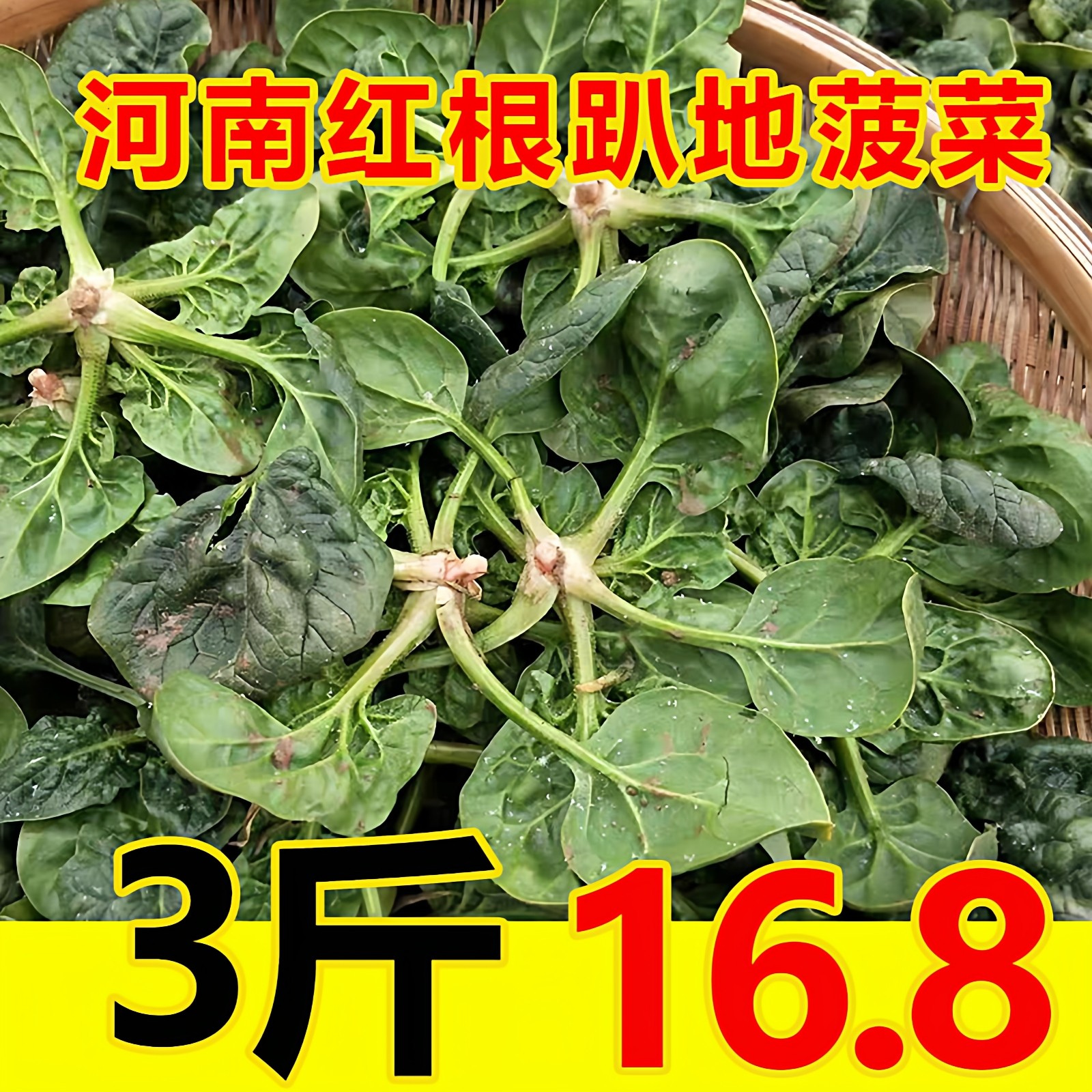 河南露天红根趴地菠菜新鲜5斤装现摘现发农家自种叶菜矮杆小菠菜,水产肉类/新鲜蔬果/熟食,叶菜类,淘宝优惠券,粉丝福利购,淘宝优惠卷