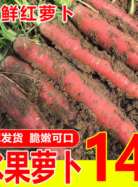 正宗陕西沙地水果红萝卜5斤