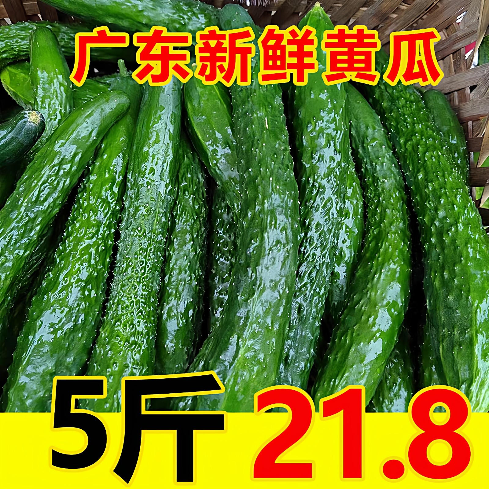 广东新鲜黄瓜5斤生吃腌凉拌青瓜火锅食材带刺长瓜3斤蔬菜农家自种