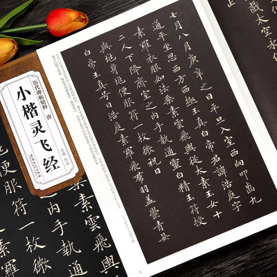 唐 小楷灵飞经 历代碑帖精粹 钟绍京灵飞经碑帖毛笔硬笔书法字帖附简体旁注临原碑入门练习帖 安徽美术出版社