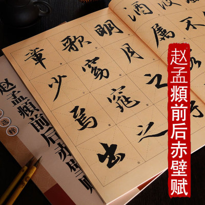 赵孟頫前后赤壁赋 放大版 8开本米字格单字注释 历代墨宝选粹 赵体行书书法毛笔练字帖放大易于初学者入门临摹 江苏凤凰美术出版社