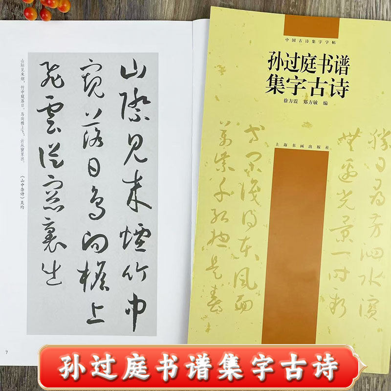 孙过庭书谱集字古诗 中堂 条幅 斗方 横披 扇面 对联 草书集字古诗集字字帖作品集  米字格附简体旁注 上海书画出版社