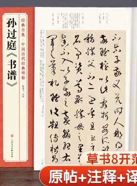 经典全集 孙过庭书谱 中国历代碑帖唐代墨迹草书译文简体注释毛笔字帖书法初学成人学生临摹帖练古帖练字杨建飞中国美术学院出版社