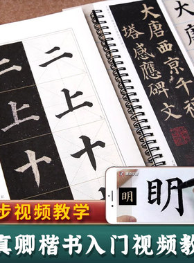颜真卿楷书入门视频教程多宝塔碑全彩版欧阳询九成宫醴泉铭初学者扫码看视频颜体颜勤礼碑书法毛笔瘦金体字帖兰亭序圣教序墨点字帖
