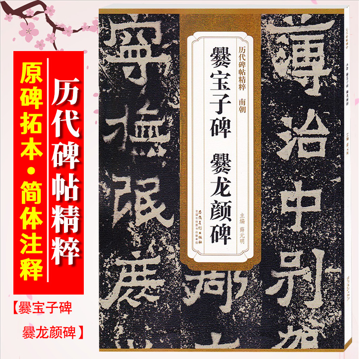 爨宝子碑爨龙颜碑南朝