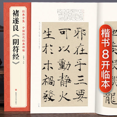 经典全集 褚遂良《阴符经》中国历代经典碑帖 唐真迹原大字黄帝书法字帖毛笔临摹正楷书籍练字帖入门小楷集字大学生 杨建飞主编