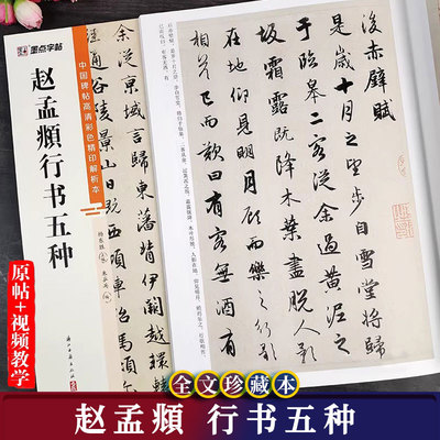 赵孟頫行书五种行书毛笔字帖