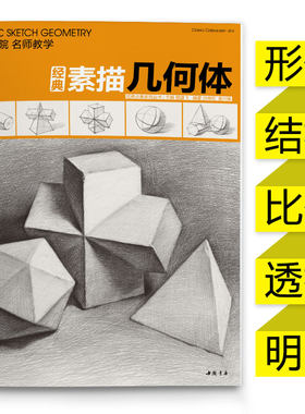 经典全集 经典素描几何体石膏8开临摹本书籍单个体结构与明暗静物组合精选篇画到位基础初学者入门美术敲门砖教程材 杨建飞