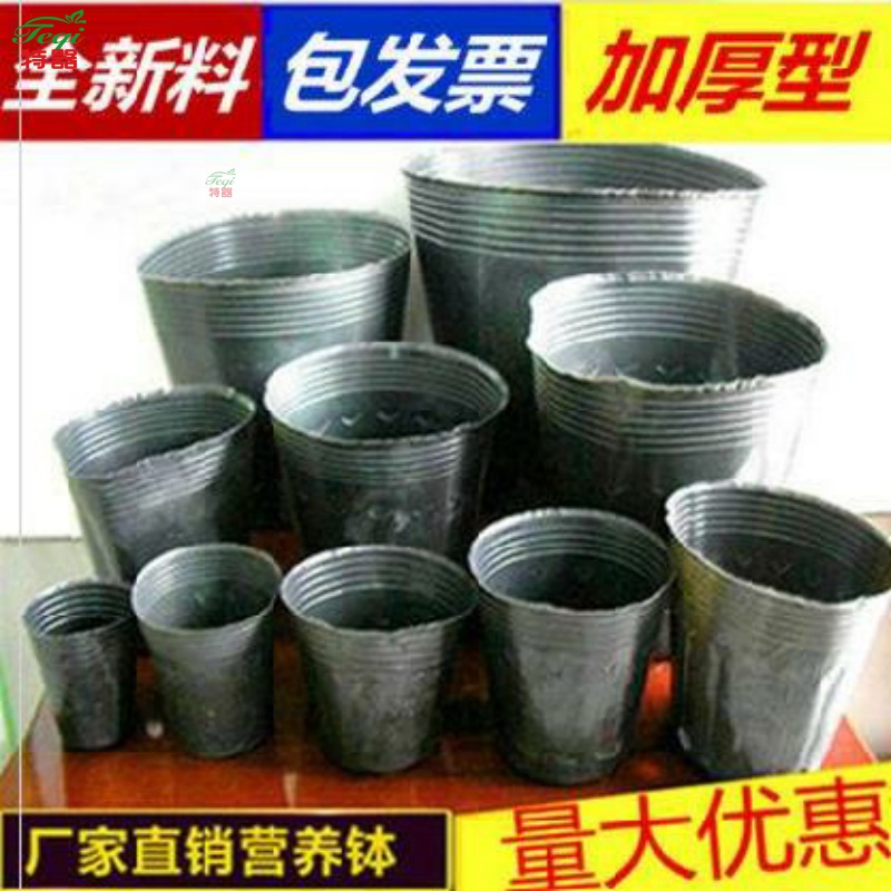 培育箱大号果树家用小苗塑料花卉苗营养袋袋子营养杯育苗纸营养钵 Изображение 1 培育箱大号果树家用小苗塑料花卉苗营养袋袋子营养杯育苗纸营养钵 Изображение 1