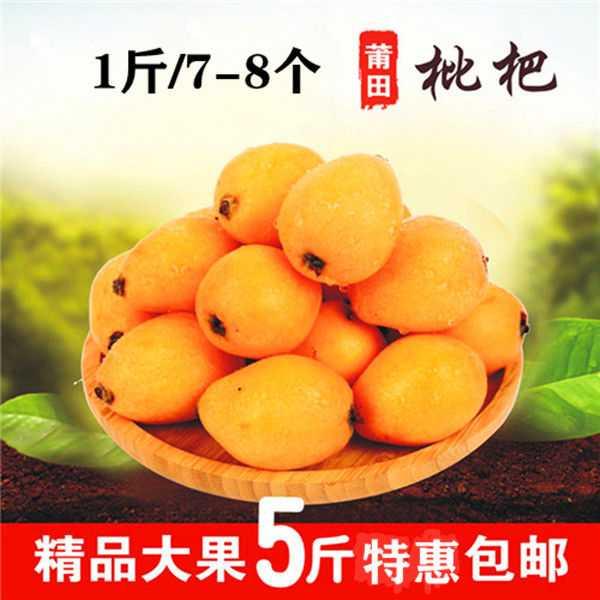 【3斤小果】福建现采米易枇杷新鲜水果琵琶果当季枇杷孕妇水果