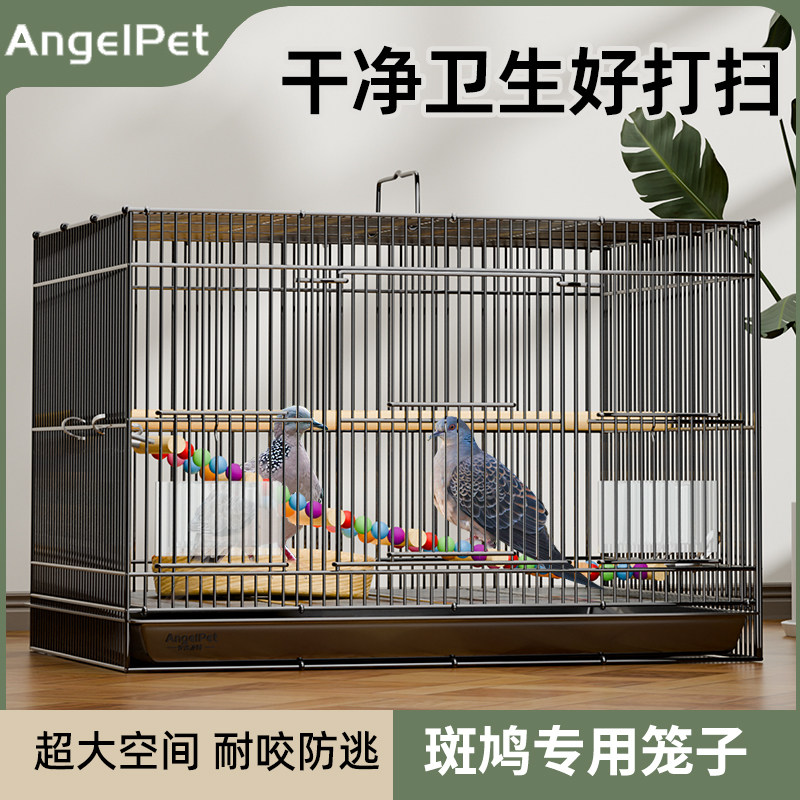 斑鸠笼子鸟笼专用养殖笼养斑鸠鸟笼活鸟家养的笼子家用大号繁殖窝