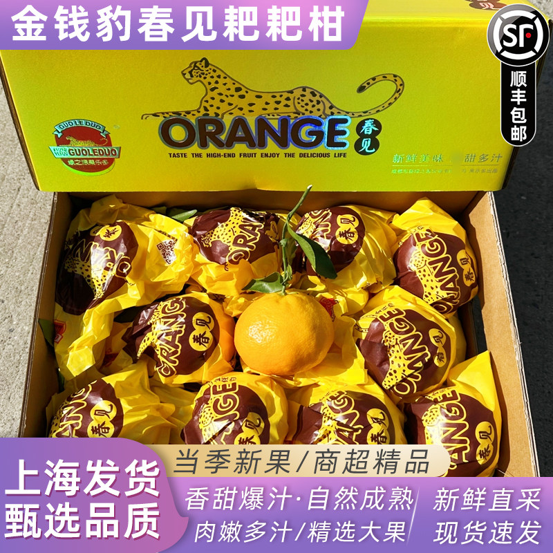 绿之源果乐多金钱豹春见粑粑柑8斤礼盒装新鲜水果橘子桔子发顺丰,水产肉类/新鲜蔬果/熟食,桔子,淘宝优惠券,粉丝福利购,淘宝优惠卷
