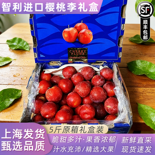 新鲜空运智利樱桃李大果礼盒5斤纯甜新鲜时令水果李子洋李子顺丰