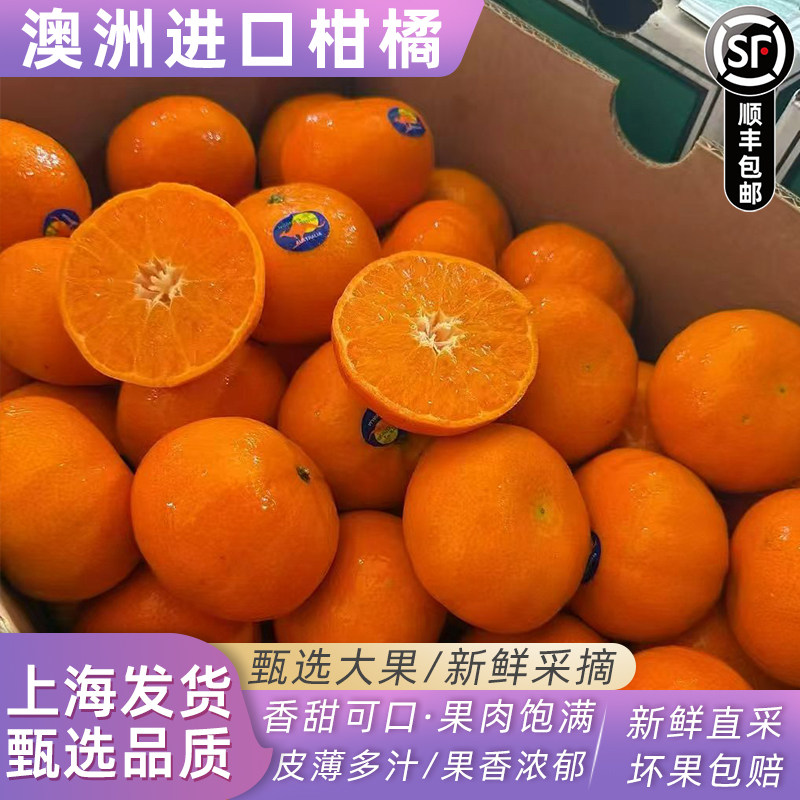澳大利亚进口柑橘蜜橘子蜜桔澳柑不上火新鲜桔子当季时令新鲜水果