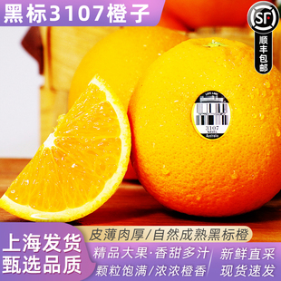 黑标3107橙子5斤当季新鲜水果脐橙橙子多汁大果顺丰包邮