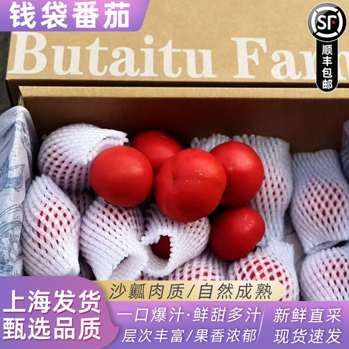 钱袋高糖番茄原种引进水果番茄味浓3斤装礼盒高糖小番茄顺丰快递