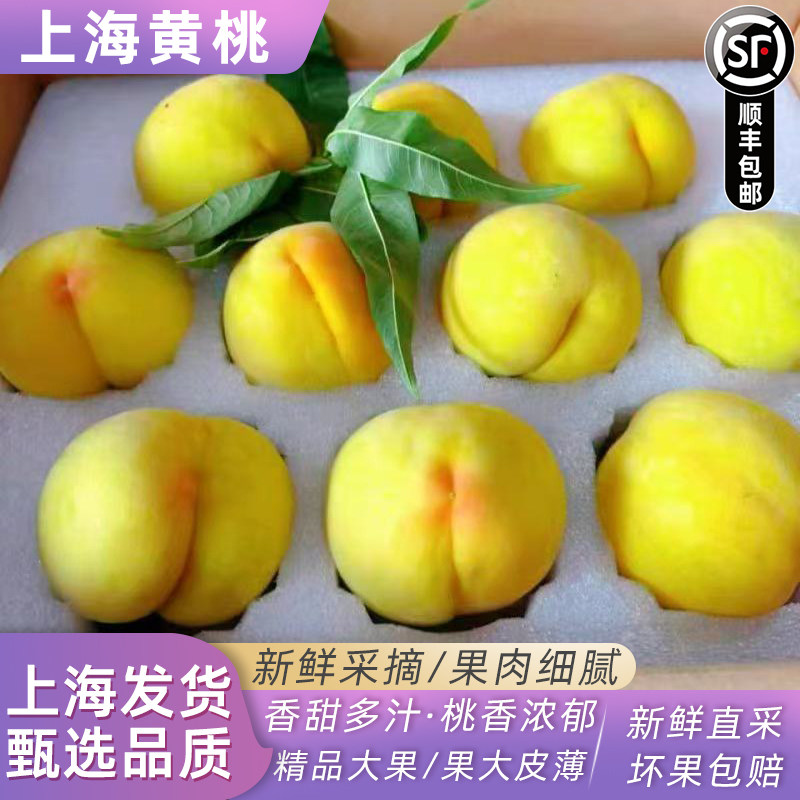 上海黄桃新鲜水果大桃子现摘当季6斤礼盒装顺丰快递