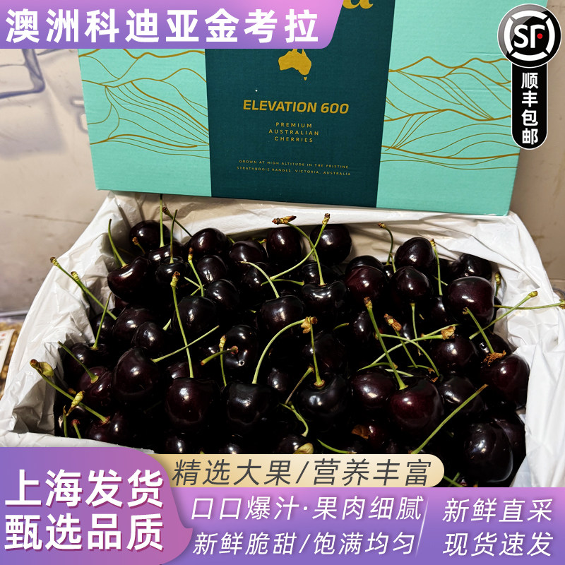 澳洲空运金考拉高山果园科迪亚车厘子新鲜水果大樱桃当季整箱礼盒,水产肉类/新鲜蔬果/熟食,车厘子/樱桃,淘宝优惠券,粉丝福利购,淘宝优惠卷