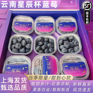云南星辰l花香蓝莓鲜果小懒超能杯山姆枝特大冠新鲜水果礼盒装25