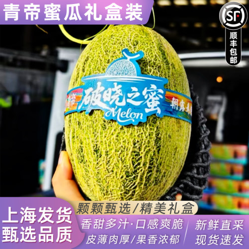 破晓之蜜青帝蜜瓜香甜脆原箱2个礼盒装新鲜水果哈密瓜绿瓢瓜顺丰