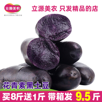 新鮮黑土豆紫心大果帶箱包郵