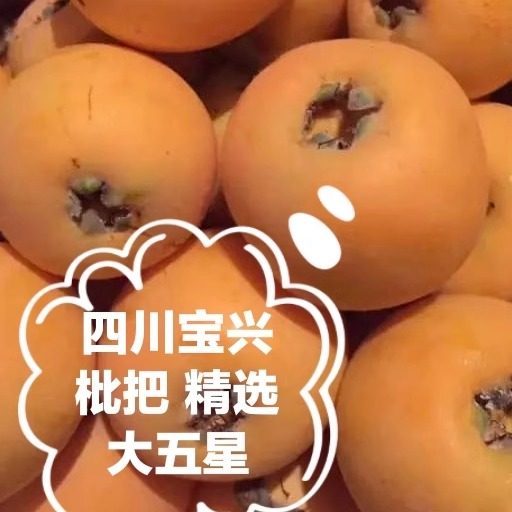 宝兴枇杷大五星现摘新鲜甜无农残