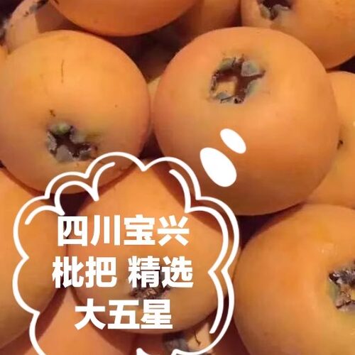 宝兴枇杷大五星现摘新鲜甜无农残