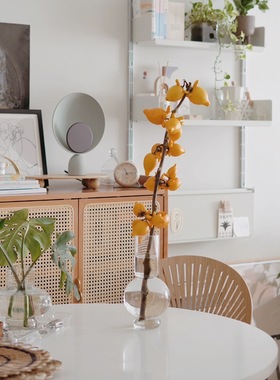 五代同堂黄金果乳茄果鲜果摆件风水植物果鲜切花速递同城五福果黄