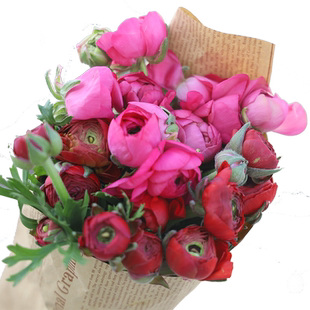 多头康乃馨鲜花多丁鲜切花云南昆明基地直发批鲜花花束38节花束