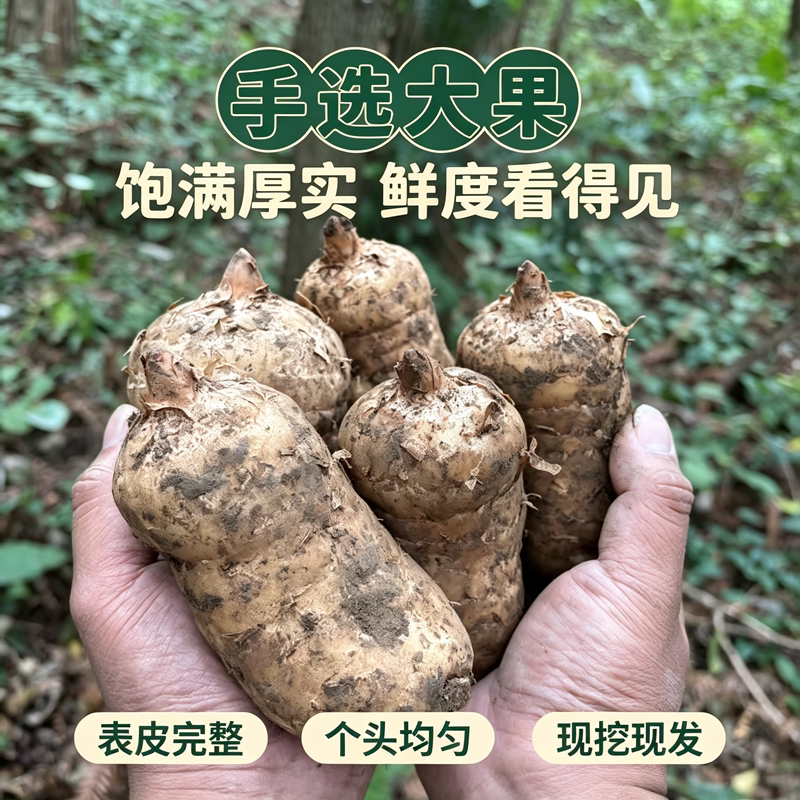 恩施高山现挖三年乌天麻特级