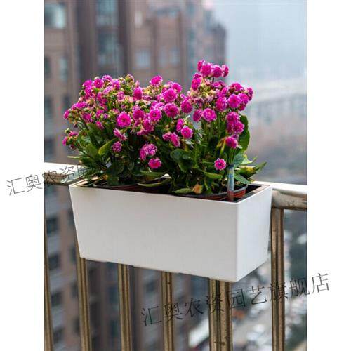 品奥*条形花盆阳台栏杆挂式自动吸水花盆懒人花盆挂架悬挂带挂钩|