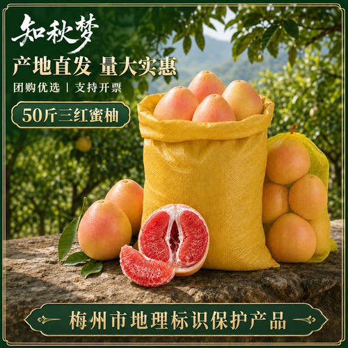 50斤梅州正宗三红肉蜜柚子红心白肉蜜柚大果现摘中秋礼盒新鲜水果