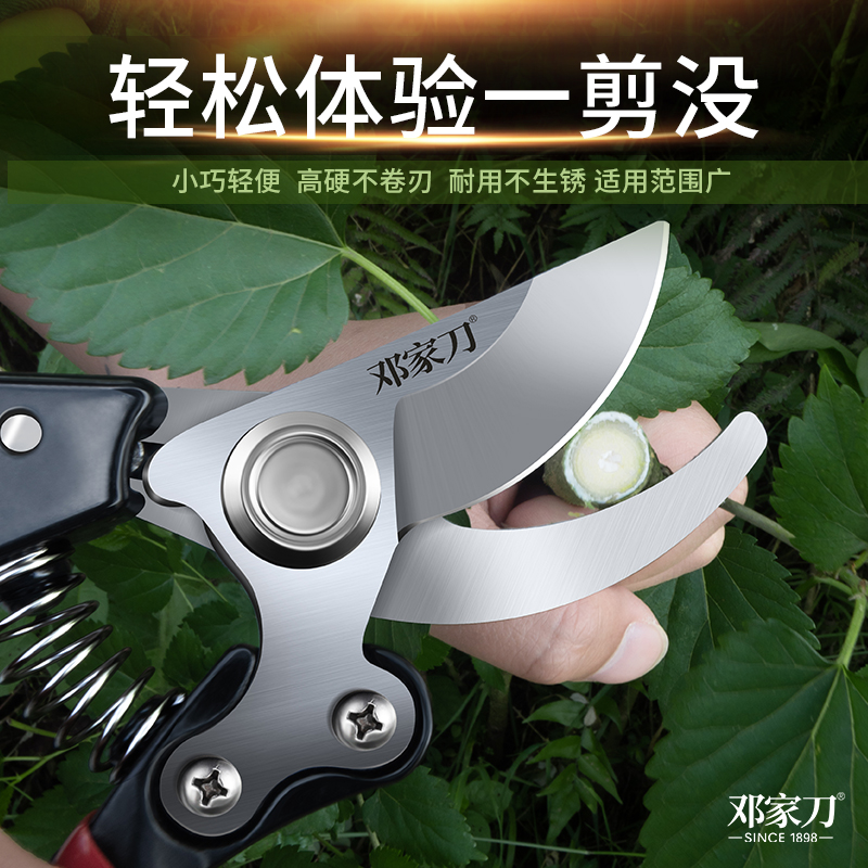 邓家刀修枝剪锋利园林园艺剪刀