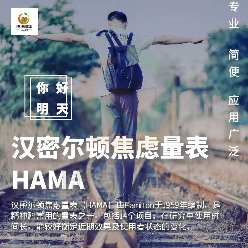 hamilton汉密尔顿焦虑自评量表hama心理测试题报告打印版文档素材