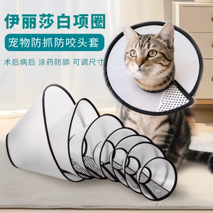伊丽莎白圈宠物头套猫颈圈猫头套大型小狗防舔防咬打针皮肤病头罩