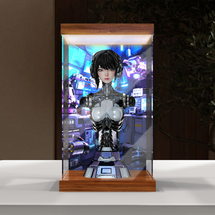 佳寻灯箱亚克力透明展示盒适用灵笼 ASH 半身像手办透明展示柜
