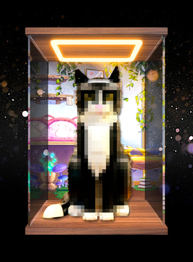 亚克力展示柜适用 21349燕尾服猫积木模型透明手办收纳灯光防尘盒