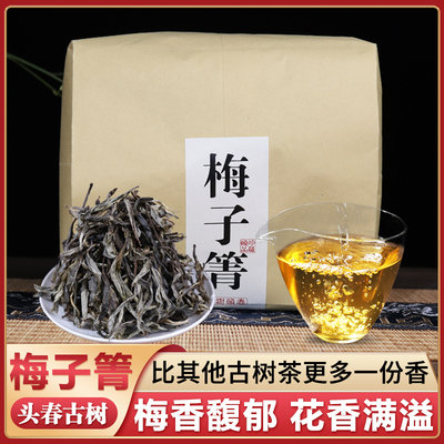 普洱茶梅子箐生散茶古树头春2025年生茶明前春生普临沧单株高端茶