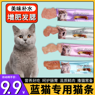 英短蓝猫专用主食金枪鱼猫条补充营养100支整箱幼猫2个月猫咪零食