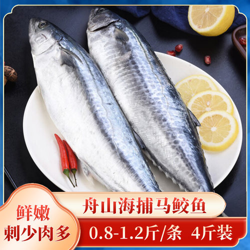 海捕蓝点马鲛鱼新鲜大整条冷冻