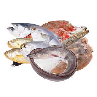 海杂鱼新鲜活冷冻舟山海鲜海鳗鱼鲳鱼小黄鱼龙利鱼米鱼墨鱼马鲛鱼