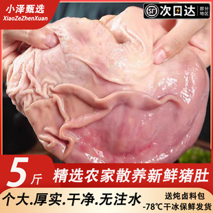 新鲜猪肚生猪大肚整个免洗猪肚猪胃猪肚鸡汤食材熟食商用冷冻批发