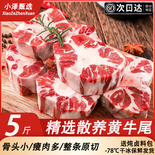 内蒙古牛尾骨新鲜整根黄牛尾巴5斤原切多肉谷饲滋补宝宝辅食炖汤